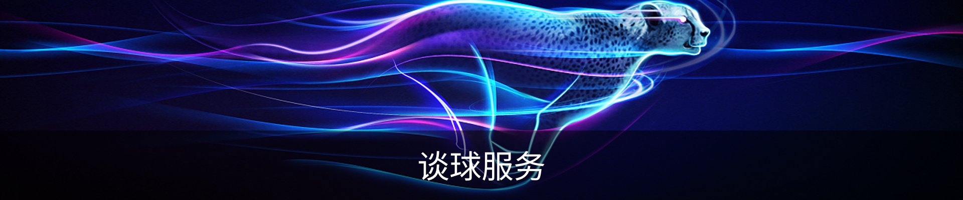 谈球服务